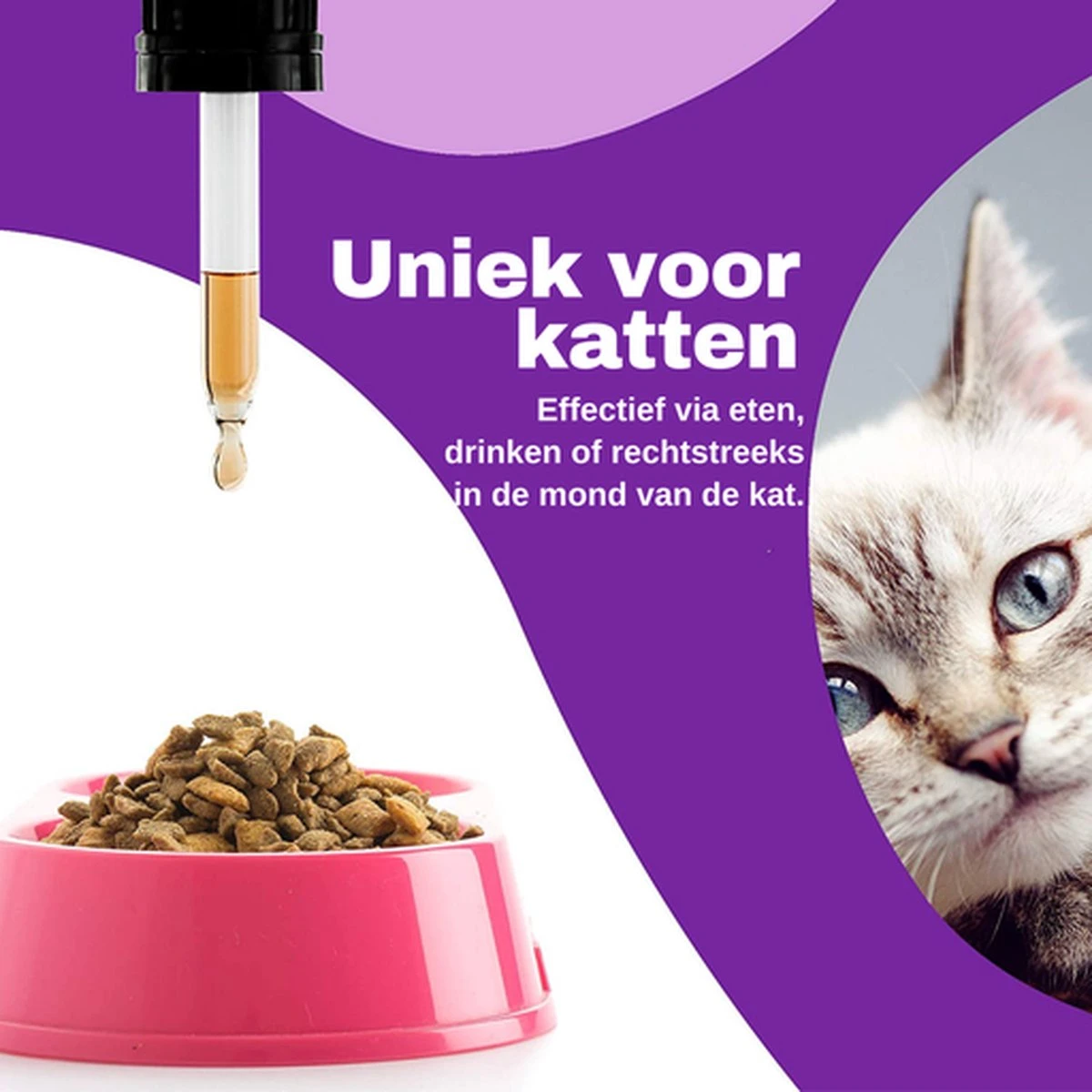 Aerend - Kalmerende Druppels Voor Katten - Anti-stress - Zanipro® 30ml - 100% Natuurlijk Uit Het Verenigd Koninkrijk - Met Ashwagandha & Valeriaan - No Stress Druppels Om Gedragsproblemen Te Verlichten - Voor Thuis En Onderweg 9 Aerend - Kalmerende Druppels Voor Katten - Anti-stress - Zanipro® 30ml - 100% Natuurlijk Uit Het Verenigd Koninkrijk - Met Ashwagandha & Valeriaan - No Stress Druppels Om Gedragsproblemen Te Verlichten - Voor Thuis En Onderweg - Afbeelding 7