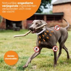 Nafurapets Vlooienband Voor Hond – Anti Vlooien – Teken Band – 100% Natuurlijk – 8 Maanden Bescherming – Grote & Kleine Hond -Kattenspeelgoed Winkel 1200x1200 26