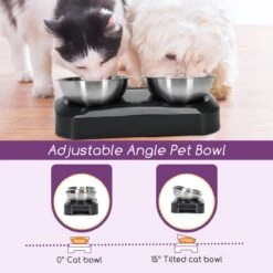 Nobleza Katten Voerbakjes - Ergonomische Dubbele Voerbak - Anti Braak Voerbak Voor Katten - Zwart - Dubbel - RVS 17 Nobleza Katten Voerbakjes - Ergonomische Dubbele Voerbak - Anti Braak Voerbak Voor Katten - Zwart - Dubbel - RVS -Kattenspeelgoed Winkel 1200x1200 279