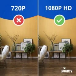 PIXMY - Automatische Voerbak Kat - 4L - Wi-Fi - Met App En Full HD Camera - Voerbak Kat -Kattenspeelgoed Winkel 1200x1200 287