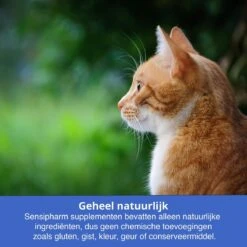 Sensipharm Urologist Aid Voor Kat, Hondje, Cavia, Konijn - Bij Blaasontsteking, Blaasgruis, Struviet, Oxalaat & Nierstenen - 90 Tabletten à 250 Mg 11 Sensipharm Urologist Aid Voor Kat, Hondje, Cavia, Konijn - Bij Blaasontsteking, Blaasgruis, Struviet, Oxalaat & Nierstenen - 90 Tabletten à 250 Mg -Kattenspeelgoed Winkel 1200x1200 29
