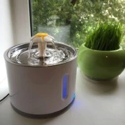 Merkloos Drinkfontein Voor Hond En Kat - RVS Waterbak - Dieren Drinkbak - Vers Water Fontein - Drinkfontein Katten- 3 Standen - 2.4 Liter - Incl. 1 Koolstoffilter 17 Merkloos Drinkfontein Voor Hond En Kat - RVS Waterbak - Dieren Drinkbak - Vers Water Fontein - Drinkfontein Katten- 3 Standen - 2.4 Liter - Incl. 1 Koolstoffilter -Kattenspeelgoed Winkel 1200x1200 293