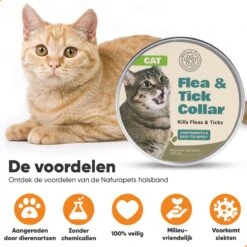 Nafurapets Vlooienband Voor Kat – Anti Vlooien – Teken Band – 100% Natuurlijk – 8 Maanden Bescherming – Grote & Kleine Kat 15 Nafurapets Vlooienband Voor Kat – Anti Vlooien – Teken Band – 100% Natuurlijk – 8 Maanden Bescherming – Grote & Kleine Kat -Kattenspeelgoed Winkel 1200x1200 3