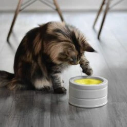 BeOneBreed Intellikatt - Slowfeeder Voor Katten - Voerpuzzel Aanbevolen Door Dierenartsen En Kattengedragsdeskundigen -Kattenspeelgoed Winkel 1200x1200 300