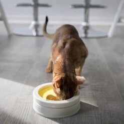 BeOneBreed Intellikatt - Slowfeeder Voor Katten - Voerpuzzel Aanbevolen Door Dierenartsen En Kattengedragsdeskundigen -Kattenspeelgoed Winkel 1200x1200 303