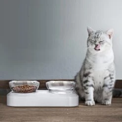 Behave Dubbele Voerbak - Drinkbak - Katten - Verstelbaar - Wit -Kattenspeelgoed Winkel 1200x1200 314