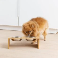 Navaris Verhoogd Dubbel Dieren Voedingsstation - 2 Kommen Voor Katten En Kleine Honden - Roestvrij Staal - Verhoogde Bamboe Standaard -Kattenspeelgoed Winkel 1200x1200 318