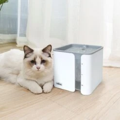 Nobleza USB Drinkfontein Voor Hond/Kat - 2L - Incl. 2 Filters - Wit -Kattenspeelgoed Winkel 1200x1200 322