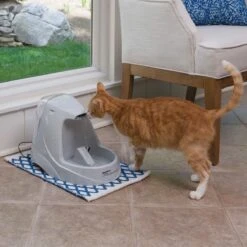 Petsafe Drinkwell Platinum - Drinkfontein - 5 L -Kattenspeelgoed Winkel 1200x1200 327