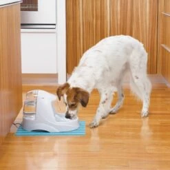 Petsafe Drinkwell Platinum - Drinkfontein - 5 L -Kattenspeelgoed Winkel 1200x1200 328