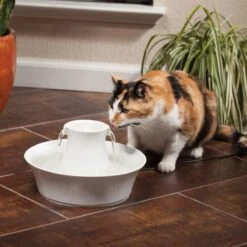 Petsafe Drinkwell Ceramic Avalon - Drinkfontein - 2 L -Kattenspeelgoed Winkel 1200x1200 333
