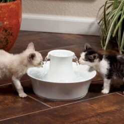 Petsafe Drinkwell Ceramic Avalon - Drinkfontein - 2 L -Kattenspeelgoed Winkel 1200x1200 334