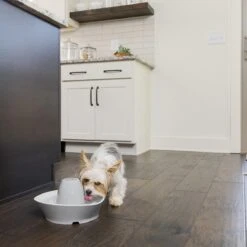 PetSafe® Streamside Ceramic Pet Fountain - Keramische Drinkfontein Voor Katten En Kleine Honden - Water Borrelt Zacht Over De Toren - Door Het Design Van Alle Kanten Bereikbaar - 1,8 Liter - PetSafe Streamside -Kattenspeelgoed Winkel 1200x1200 339