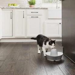 PetSafe® Streamside Ceramic Pet Fountain - Keramische Drinkfontein Voor Katten En Kleine Honden - Water Borrelt Zacht Over De Toren - Door Het Design Van Alle Kanten Bereikbaar - 1,8 Liter - PetSafe Streamside -Kattenspeelgoed Winkel 1200x1200 340