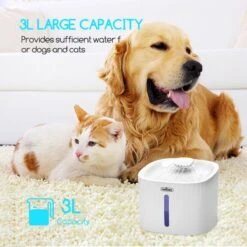 Nobleza Drinkfontein Voor Katten 17 Nobleza Drinkfontein Voor Katten -Kattenspeelgoed Winkel 1200x1200 344