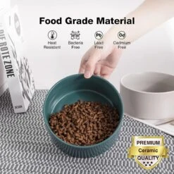 GIZMO 2x Voerbak Kat - 400 Ml - Groen - Keramische Drink- & Voerbakken Met Standaard - 13 Cm - 2 Stuks -Kattenspeelgoed Winkel 1200x1200 354