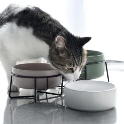 GIZMO 2x Voerbak Kat - 400 Ml - Groen - Keramische Drink- & Voerbakken Met Standaard - 13 Cm - 2 Stuks -Kattenspeelgoed Winkel 1200x1200 357