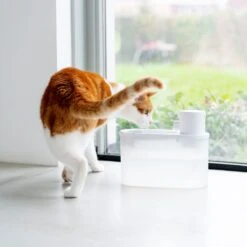Hoopo® Agua - DRAADLOZE Waterfontein Katten - SMART Waterfontein Katten - UVC Disinfectie - 2 Liter - Automatische Katten Fontein -Kattenspeelgoed Winkel 1200x1200 360