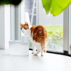 Hoopo® Agua - DRAADLOZE Waterfontein Katten - SMART Waterfontein Katten - UVC Disinfectie - 2 Liter - Automatische Katten Fontein -Kattenspeelgoed Winkel 1200x1200 361
