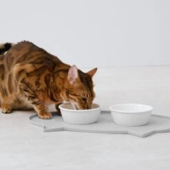 Navaris Siliconen Voederbakmat Voor Katten - Waterdichte Anti-slip Mat Voor Voerbak En Waterbak - 50x32 Cm - In Grijs Kattendesign -Kattenspeelgoed Winkel 1200x1200 365