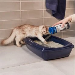 Biokat's Active Pearls - 700 Ml - Toevoeging Voor Kattenbakvulling Met Actieve Kool -Kattenspeelgoed Winkel 1200x1200 366