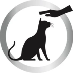 Biokat's Diamond Care Sensitive Classic - 6 L - Kattenbakvulling - Klontvormende - Zonder Geur - Aktieve Kool - Voor Gevoelige Katten -Kattenspeelgoed Winkel 1200x1200 384