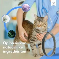 Essential Link Teken- En Vlooienband - Vlooienband Kat – Anti Vlooien – Vlooienmiddel - Tekenband - Diervriendelijk -Kattenspeelgoed Winkel 1200x1200 40