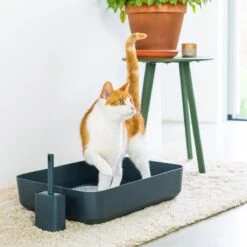 Hoopo® Poh Kattenbak Grijs - Open Kattenbak - Design Kattenbak - Kattenbakschep - 50x37.5x12.7 Cm - Grote Kattenbak -Kattenspeelgoed Winkel 1200x1200 406