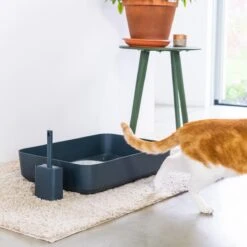 Hoopo® Poh Kattenbak Grijs - Open Kattenbak - Design Kattenbak - Kattenbakschep - 50x37.5x12.7 Cm - Grote Kattenbak -Kattenspeelgoed Winkel 1200x1200 409