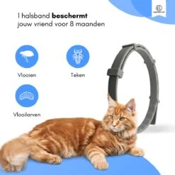 Essential Link Teken- En Vlooienband - Vlooienband Kat – Anti Vlooien – Vlooienmiddel - Tekenband - Diervriendelijk -Kattenspeelgoed Winkel 1200x1200 41