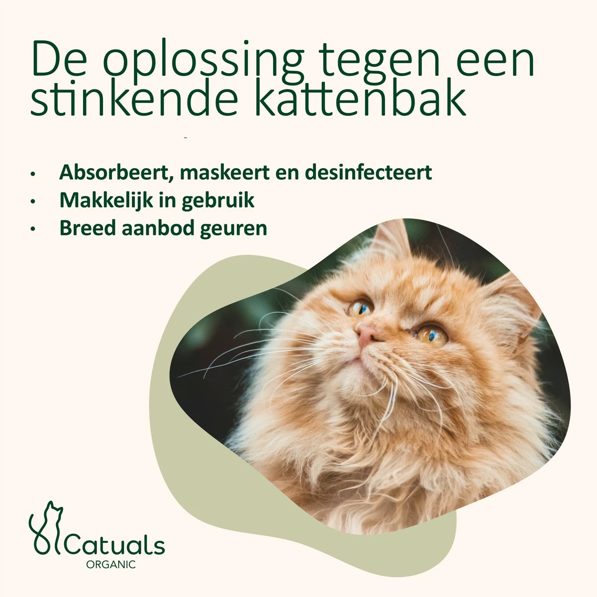 Catuals Kattenbakvulling Geurverdrijver - Neutraliseert Urinegeur Van Katten - Baby Care - 1kg 8 Catuals Kattenbakvulling Geurverdrijver - Neutraliseert Urinegeur Van Katten - Baby Care - 1kg - Afbeelding 6