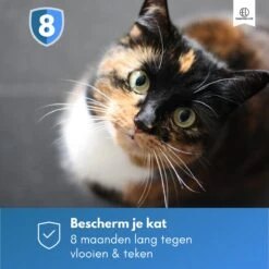 Essential Link Teken- En Vlooienband - Vlooienband Kat – Anti Vlooien – Vlooienmiddel - Tekenband - Diervriendelijk -Kattenspeelgoed Winkel 1200x1200 43