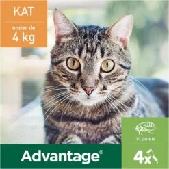 Bayer Advantage 40 Tegen Vlooien - <4kg - 4 X 0,4 Ml - Adult -Kattenspeelgoed Winkel 1200x1200 44