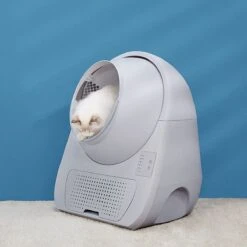 Catlink Smart Litter Box - Scooper Young - Zelfreinigende Kattenbak Zonder Wifi - Kleur Grijs -Kattenspeelgoed Winkel 1200x1200 463