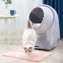 Catlink Smart Litter Box - Scooper Young - Zelfreinigende Kattenbak Zonder Wifi - Kleur Grijs -Kattenspeelgoed Winkel 1200x1200 465