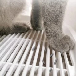 YA Products Kattenbak Space Series - Grote Kattenbak - Kattenbak Met Lade Inclusief Schep -Kattenspeelgoed Winkel 1200x1200 467