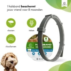 Essential Link Teken- En Vlooienband - Vlooienband Kat/Hond – Anti Vlooien – Vlooienmiddel - Tekenband - Diervriendelijk -Kattenspeelgoed Winkel 1200x1200 47