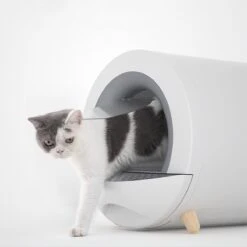 XL Kattenbak - Tunnel Met Geurfilter En Lade - Design Kattenbak -Kattenspeelgoed Winkel 1200x1200 484