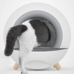 XL Kattenbak - Tunnel Met Geurfilter En Lade - Design Kattenbak -Kattenspeelgoed Winkel 1200x1200 485