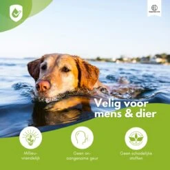 Essential Link Teken- En Vlooienband - Vlooienband Kat/Hond – Anti Vlooien – Vlooienmiddel - Tekenband - Diervriendelijk -Kattenspeelgoed Winkel 1200x1200 49