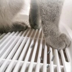 Skipoo Kattenbak Space Series - Kattenmand Met Lade - Inclusief Kattenbak Schep - Grote Kattenbak 14 Skipoo Kattenbak Space Series - Kattenmand Met Lade - Inclusief Kattenbak Schep - Grote Kattenbak -Kattenspeelgoed Winkel 1200x1200 494