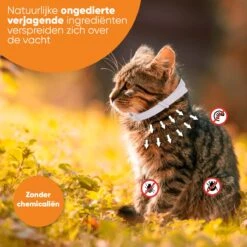 Nafurapets Vlooienband Voor Kat – Anti Vlooien – Teken Band – 100% Natuurlijk – 8 Maanden Bescherming – Grote & Kleine Kat 17 Nafurapets Vlooienband Voor Kat – Anti Vlooien – Teken Band – 100% Natuurlijk – 8 Maanden Bescherming – Grote & Kleine Kat -Kattenspeelgoed Winkel 1200x1200 5
