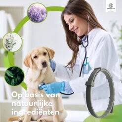 Essential Link Teken- En Vlooienband - Vlooienband Kat/Hond – Anti Vlooien – Vlooienmiddel - Tekenband - Diervriendelijk -Kattenspeelgoed Winkel 1200x1200 50