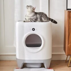 PETKIT Pura X Self-Cleaning Cat Litter Box, No Scooping Automatic Cat Litter Box Fr Multiple Cats, XSecure/Odor Removal/APP Control Automatic Cat Littler Box With Mat -Kattenspeelgoed Winkel 1200x1200 502