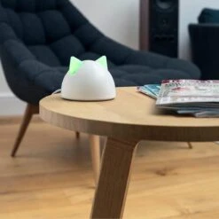 Sureflap Connect HUB 11 Sureflap Connect HUB -Kattenspeelgoed Winkel 1200x1200 569