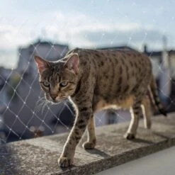 Kattennet Premium - 800 X 300 CM - Kattennet Voor Balkon - Transparant - Balkon Net - Makkelijk Te Monteren- Kattengaas -Kattenspeelgoed Winkel 1200x1200 574