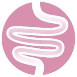 Purina ONE Junior - Kip/Granen - Kattenvoer - 800 G -Kattenspeelgoed Winkel 1200x1200 58