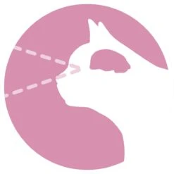 Purina ONE Junior - Kip/Granen - Kattenvoer - 800 G -Kattenspeelgoed Winkel 1200x1200 59