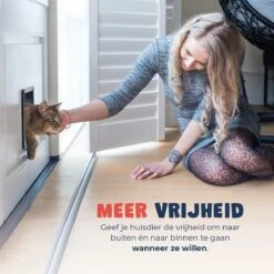 JC Pets Premium Kattenluik - Inclusief Tunnel - 4 Vergrendelingsstanden - Zwart - 20 X 19 X 5.5 Cm - Waterdicht -Kattenspeelgoed Winkel 1200x1200 631