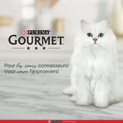 Purina One Purina Gourmet Perle - Mini Filets In Saus - Kalkoen Eend Tonijn & Lam - 40x85g -Kattenspeelgoed Winkel 1200x1200 64